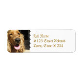 Spaniel Dog Mailing Label (Voorkant)