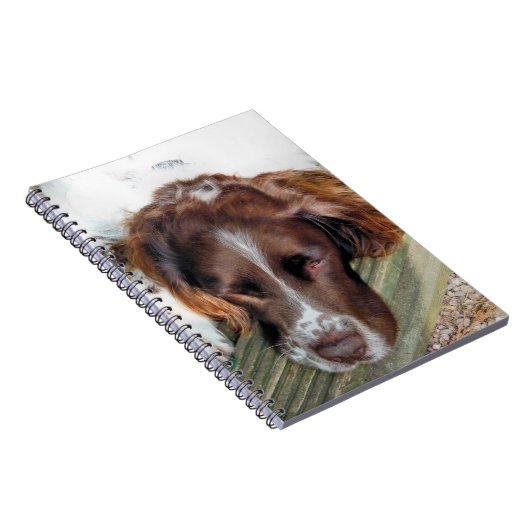 SPANIEL DOG NOTITIEBOEK (Rechterzijde)