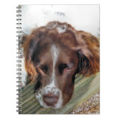 SPANIEL DOG NOTITIEBOEK (Voorkant)