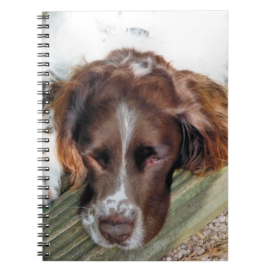 SPANIEL DOG NOTITIEBOEK (Voorkant)