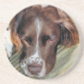 SPANIEL DOG ZANDSTEEN ONDERZETTER (Voorkant)