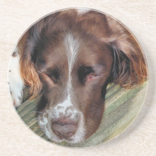SPANIEL DOG ZANDSTEEN ONDERZETTER (Voorkant)