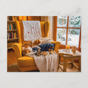 Spaniel duo in een gezellige winterfauteuil briefkaart