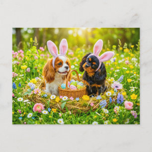 Spaniel duo in paasnest weide briefkaart