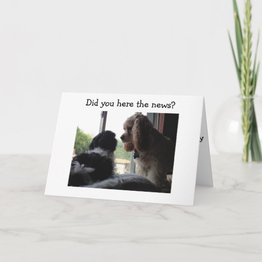 SPANIEL EN HAVANEES ZEGGEN VOORAFGAAND AAN U KAART (Voorkant)