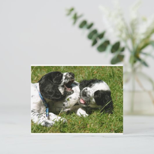 Spaniel Fun Briefkaart (Staand voorkant)