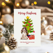 Spaniel Hond Familie Kerstmis Feestdagenkaart