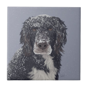 Spaniel hond gemengd huisdier portret  tegeltje