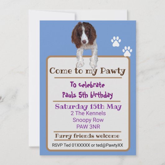 Spaniel hond King Charles Springer Kaart (Voorkant)