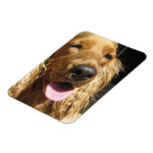 Spaniel Hond Premium Magneet (Linkerzijde)
