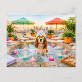 Spaniel in wellnesszwembad briefkaart