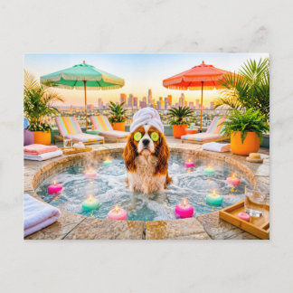 Spaniel in wellnesszwembad briefkaart