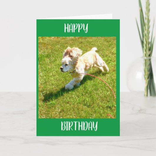 SPANIEL KAN NIET WACHTEN OM TE ZEGGEN **HAPPY BIRT KAART (Voorkant)
