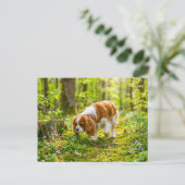 Spaniel loopt door een heldere lentebos briefkaart (Staand voorkant)