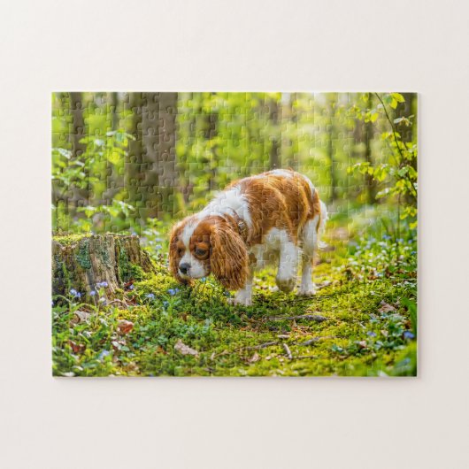 Spaniel loopt door een heldere lentebos legpuzzel (Horizontaal)
