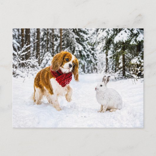 Spaniel ontmoet sneeuwhaas in winterbos briefkaart (Voorkant)