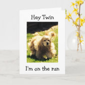 SPANIEL OP DE RUN-HAPPY VERJAARDAG TWEELING KAART (Gele Bloem)