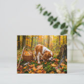 Spaniel paddenstoelen zoeken in herfstbos briefkaart (Staand voorkant)