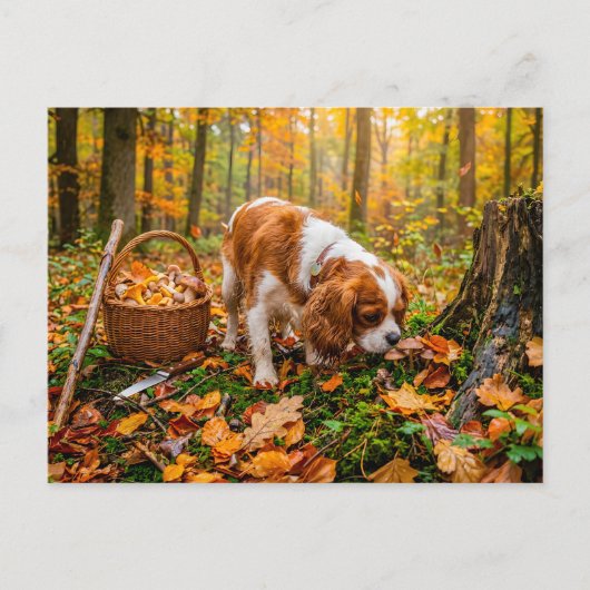 Spaniel paddenstoelen zoeken in herfstbos briefkaart (Voorkant)