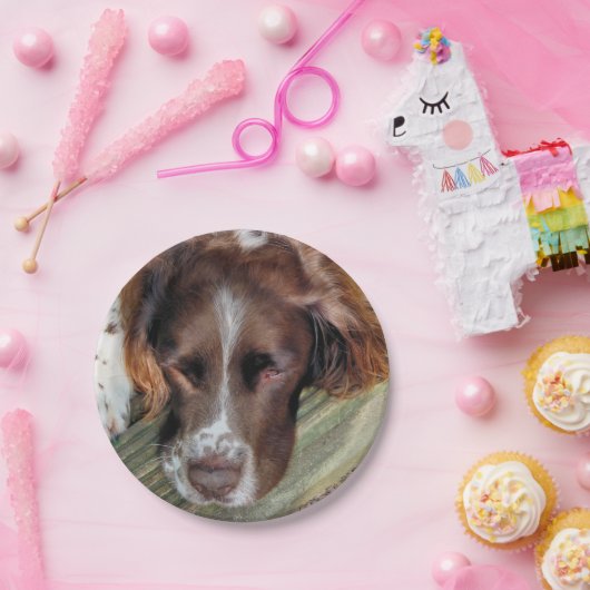 SPANIEL PAPIEREN BORDJE (Feest)