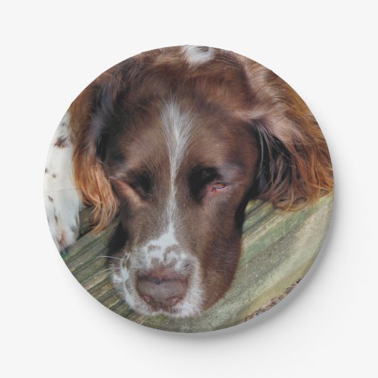 SPANIEL PAPIEREN BORDJE (Voorkant)