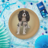 SPANIEL PAPIEREN BORDJE (Feest)