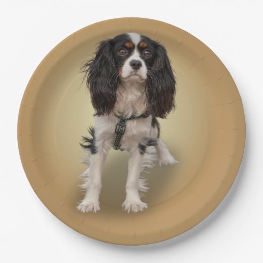 SPANIEL PAPIEREN BORDJE (Voorkant)