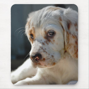 Spaniel Puppy Dog Muismat