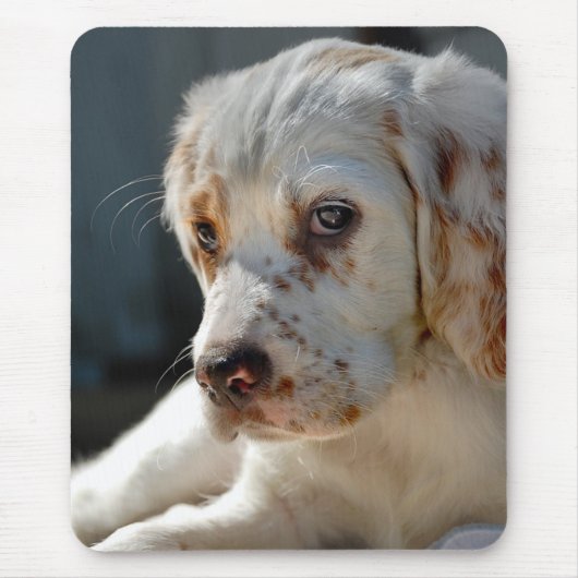 Spaniel Puppy Dog Muismat (Voorkant)