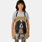 SPANIEL SCHORT (Insitu)