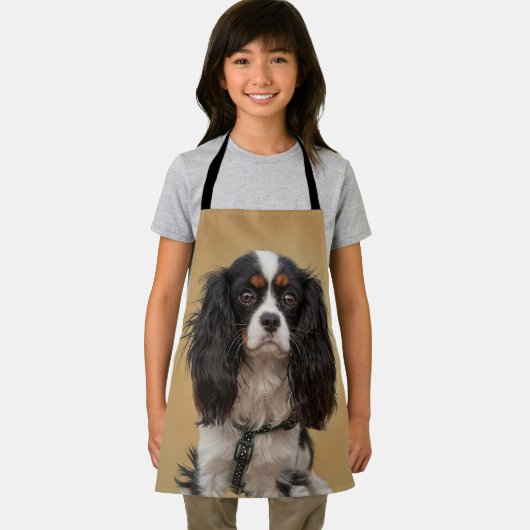 SPANIEL SCHORT (Insitu)