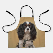 SPANIEL SCHORT (Voorkant)