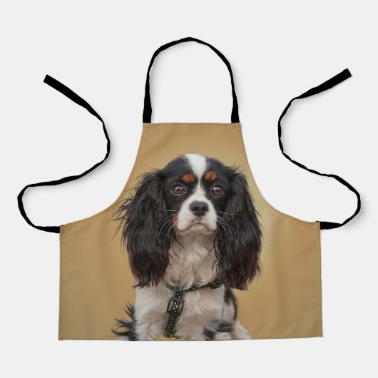 SPANIEL SCHORT (Voorkant)
