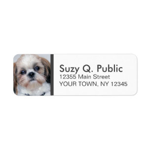 Spaniel Shih Tzu Adres Label