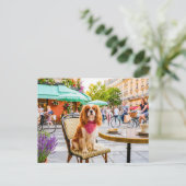 Spaniel staduitstap bij terras briefkaart (Staand voorkant)