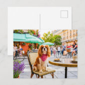 Spaniel staduitstap bij terras briefkaart (Voorkant / Achterkant)