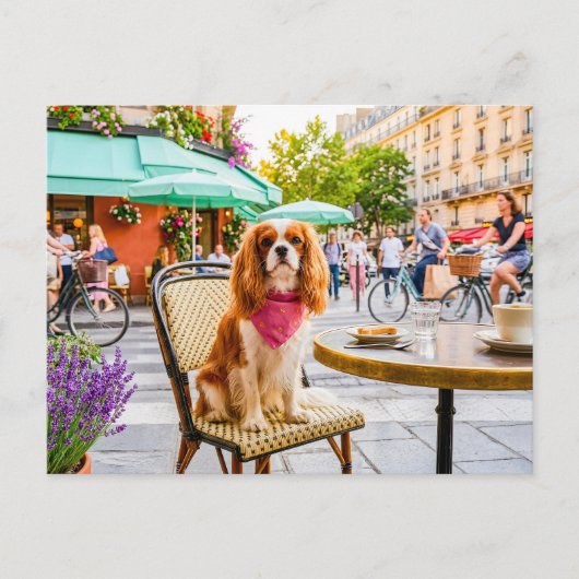 Spaniel staduitstap bij terras briefkaart (Voorkant)