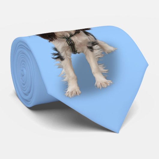 SPANIEL STROPDAS (Opgerold)