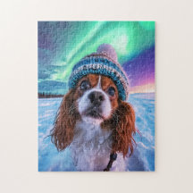 Spaniel Under Northern Lights Norway