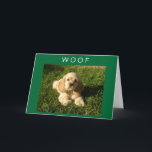 SPANIEL ZEGT WOOF-EN-GEFELICITEERD MET JE VERJAARD KAART<br><div class="desc">WE HOUDEN VAN ONZE HOND! HOPEN DAT JIJ HET EVEN GOED DOET (MAAR NU IS HIJ 10) EN HIJ WIL DAT JE MOEDER EEN HEEL GEZELLIGE VERJAARDAG HEeft. BEDANKT DAT JE EVEN LANGSKWAM IN EEN VAN MIJN ACHT WINKELS!!!</div>