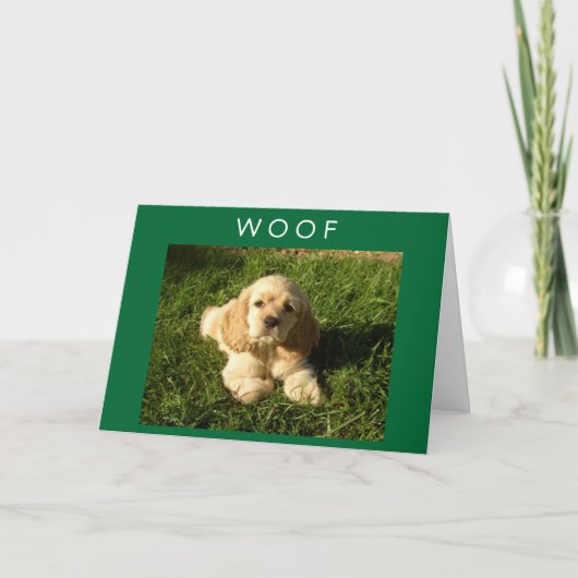 SPANIEL ZEGT WOOF-EN-GEFELICITEERD MET JE VERJAARD KAART (Voorkant)
