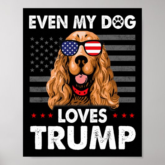 Spaniel Zelfs mijn hond houdt van Trump grappig Poster (Voorkant)