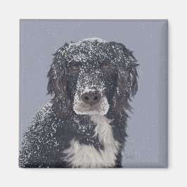 Spanielhond mengt huisdier portret magneet