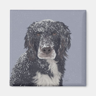 Spanielhond mengt huisdier portret magneet