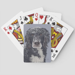 Spanielhond mengt huisdier portret pokerkaarten