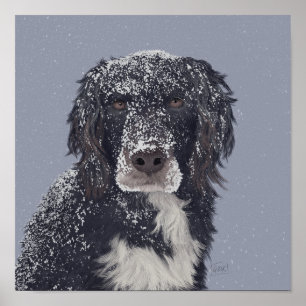 Spanielhond mengt huisdier portret poster
