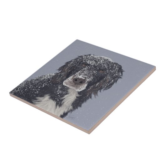 Spanielhond mengt huisdier portret tegeltje (Zijkant)