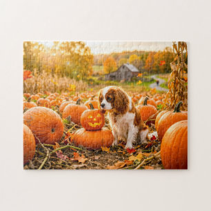 Spanielpuppy in herfst pompoenveld legpuzzel