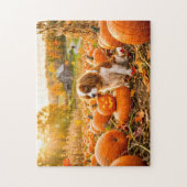 Spanielpuppy in herfst pompoenveld legpuzzel (Verticaal)