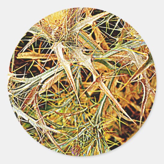 Spanische Distel Ronde Sticker (Voorkant)